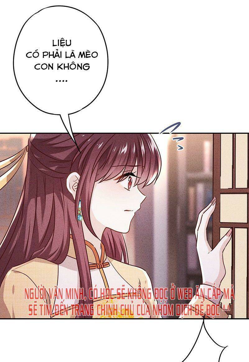 Thiếu Soái, Vợ Anh Muốn Lật Trời!: Chapter 114