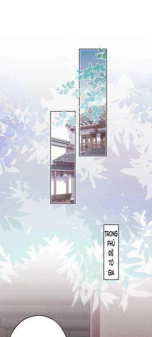 Thiếu Soái, Vợ Anh Muốn Lật Trời!: Chapter 127