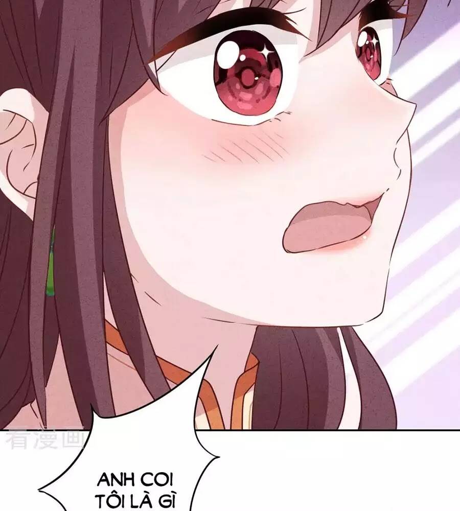 Thiếu Soái, Vợ Anh Muốn Lật Trời!: Chapter 13
