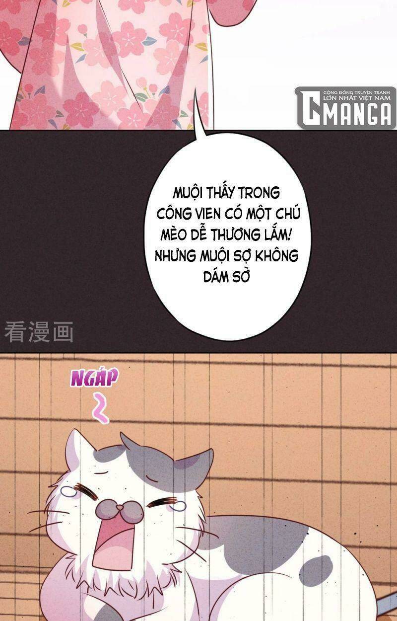 Thiếu Soái, Vợ Anh Muốn Lật Trời!: Chapter 140