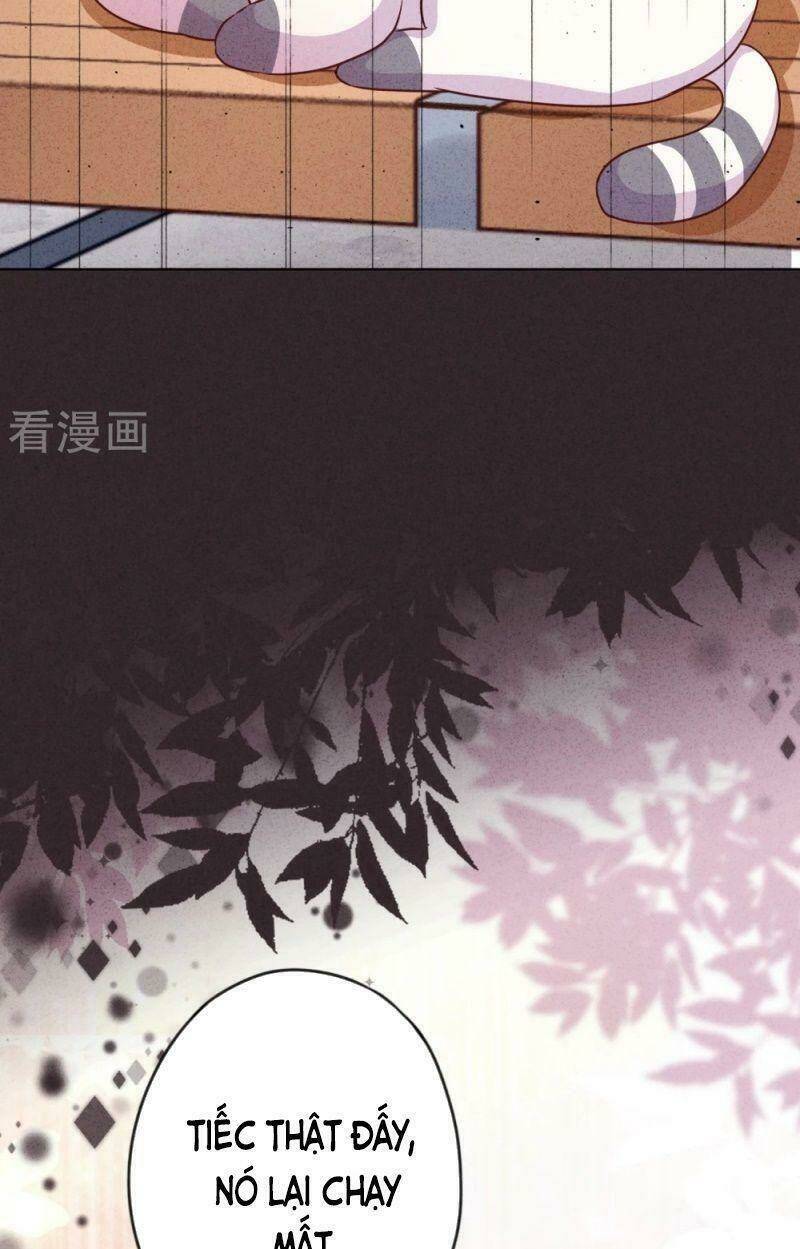 Thiếu Soái, Vợ Anh Muốn Lật Trời!: Chapter 140