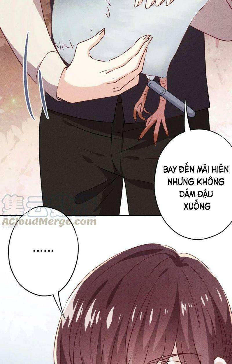 Thiếu Soái, Vợ Anh Muốn Lật Trời!: Chapter 142