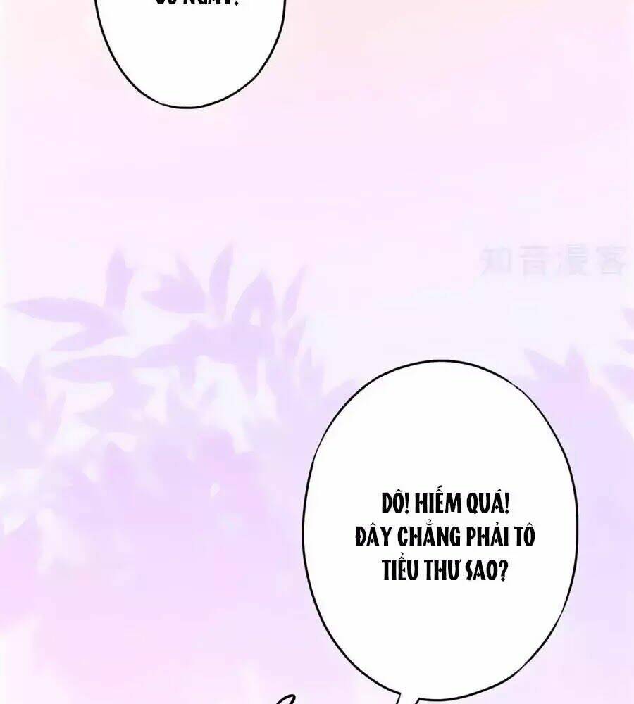 Thiếu Soái, Vợ Anh Muốn Lật Trời!: Chapter 27