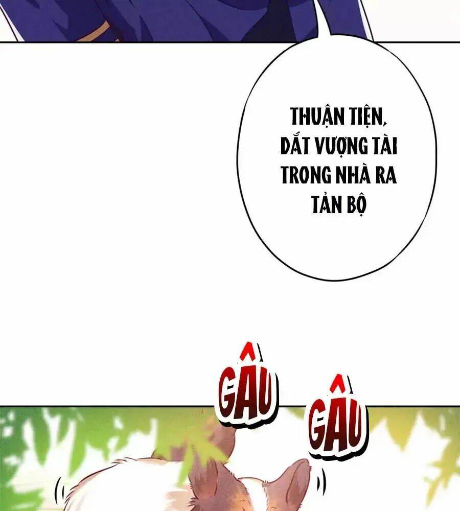 Thiếu Soái, Vợ Anh Muốn Lật Trời!: Chapter 38