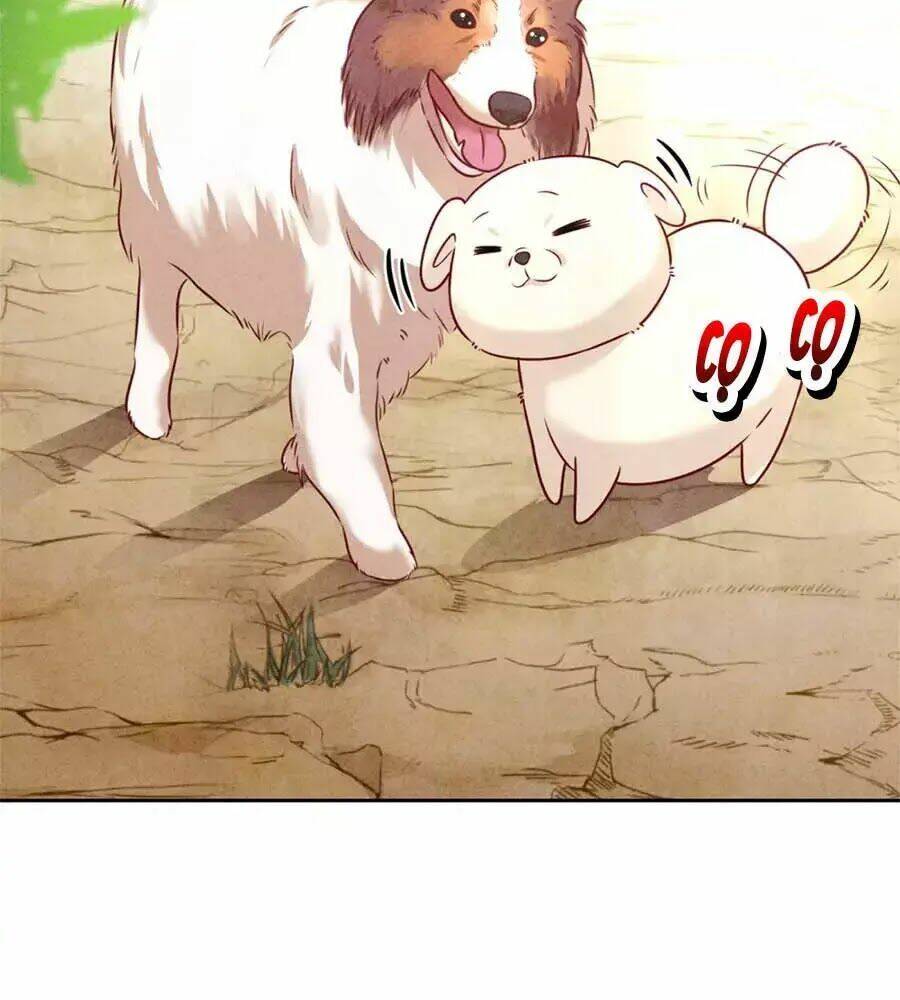 Thiếu Soái, Vợ Anh Muốn Lật Trời!: Chapter 38