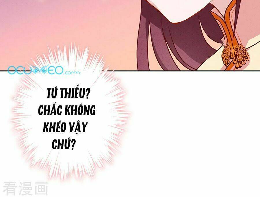 Thiếu Soái, Vợ Anh Muốn Lật Trời!: Chapter 4