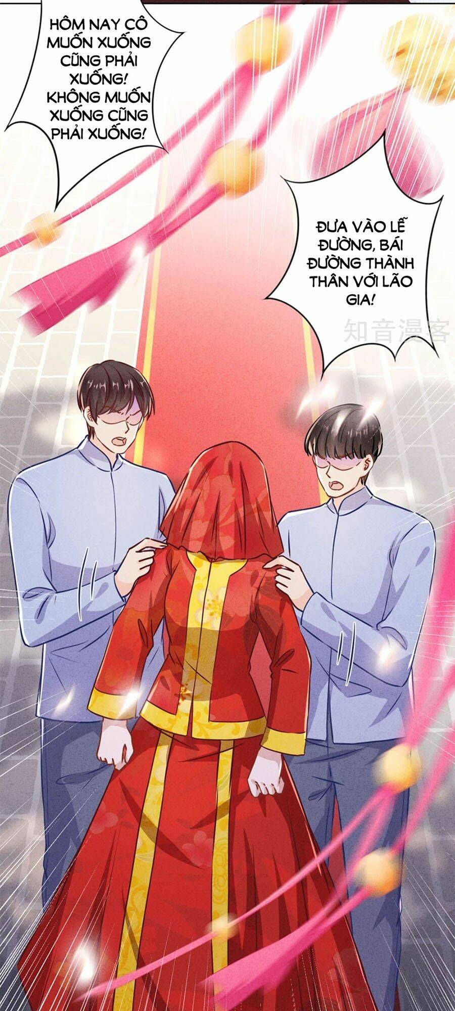 Thiếu Soái, Vợ Anh Muốn Lật Trời!: Chapter 82