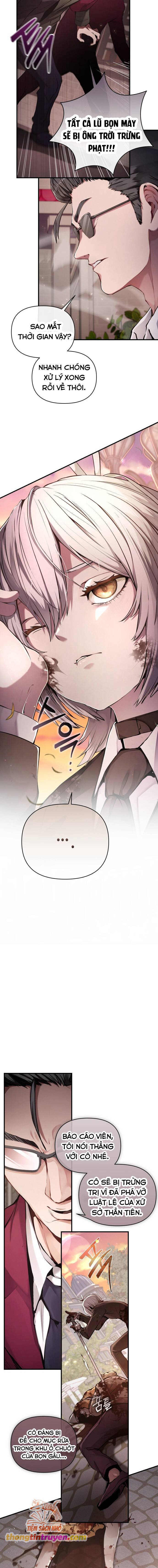 Thỏ Trắng Ở Xứ Sở Thần Tiên: Chapter 1