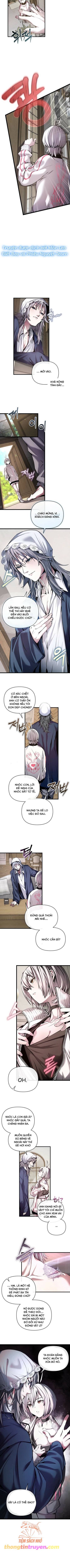 Thỏ Trắng Ở Xứ Sở Thần Tiên: Chapter 3