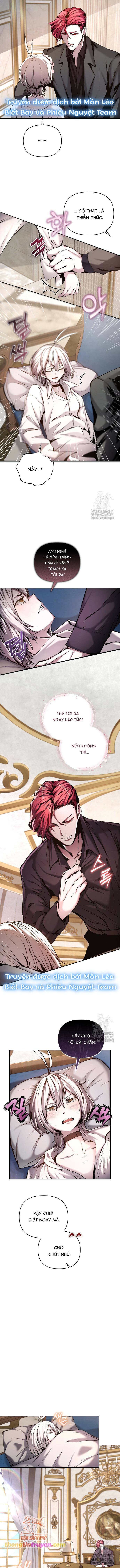 Thỏ Trắng Ở Xứ Sở Thần Tiên: Chapter 7