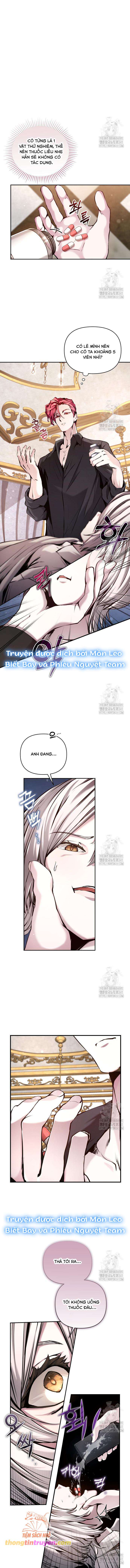 Thỏ Trắng Ở Xứ Sở Thần Tiên: Chapter 8