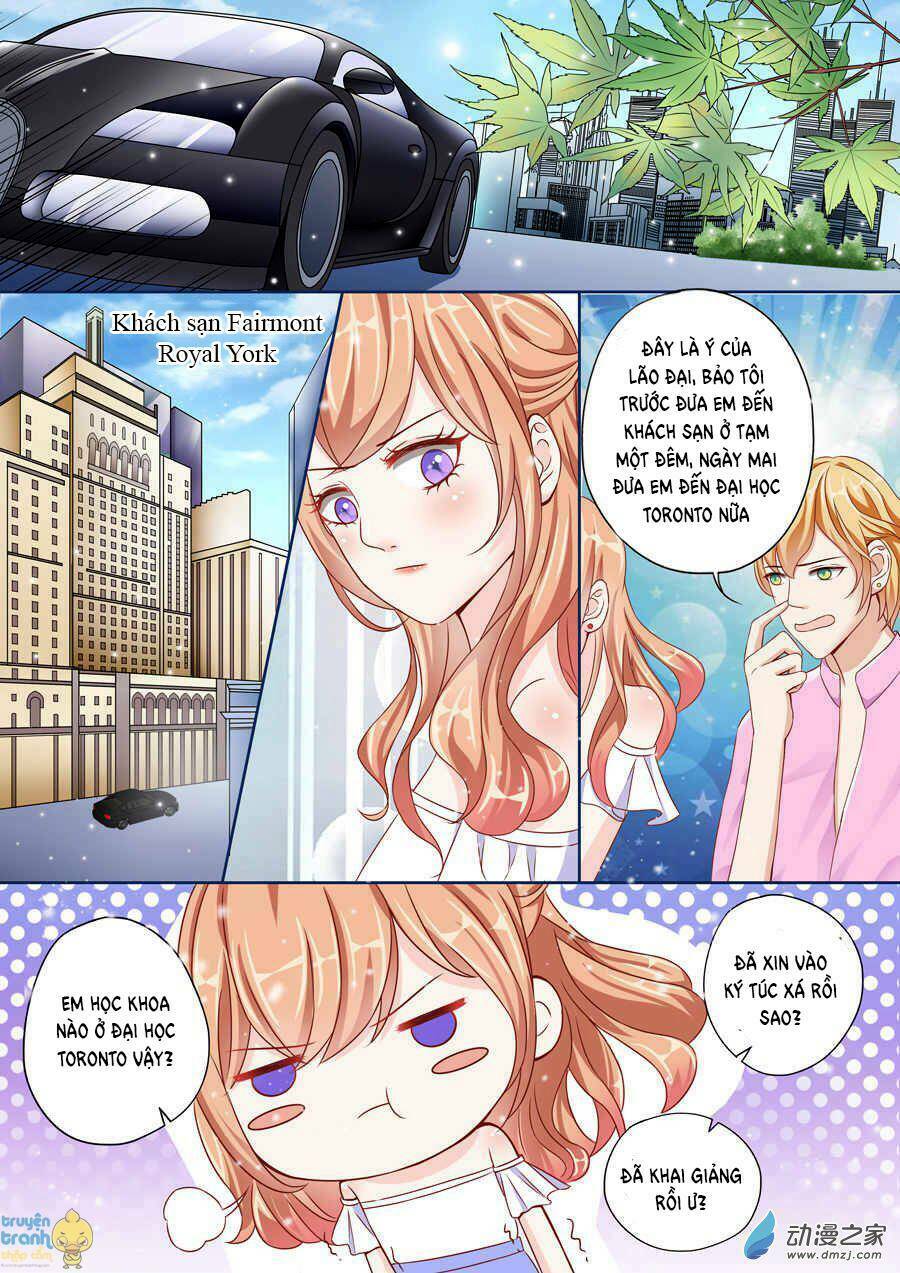 Tiểu Thời Quang Của Toronto: Chapter 5