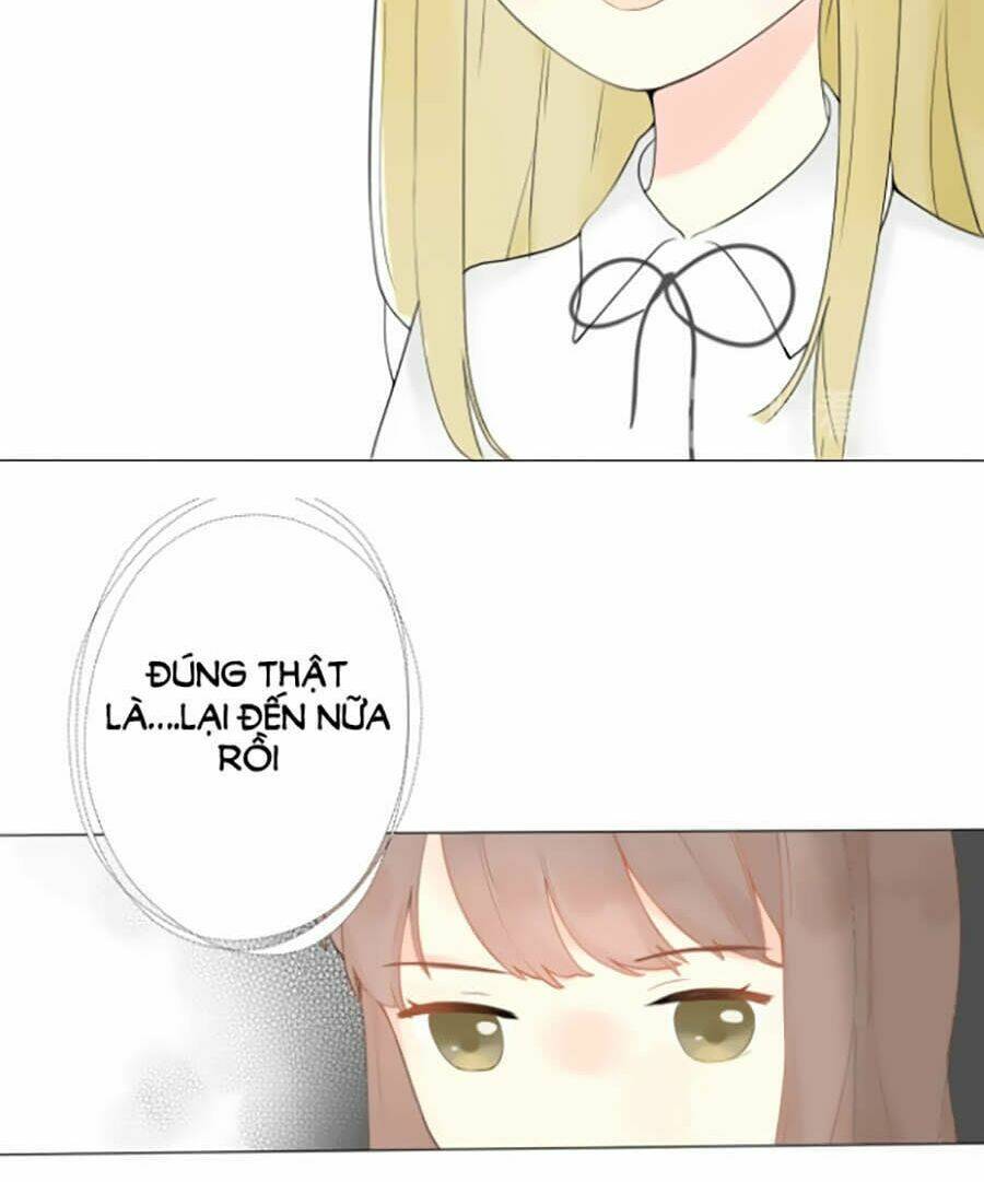 Tình Yêu Duy Nhất Của Tôi: Chapter 1
