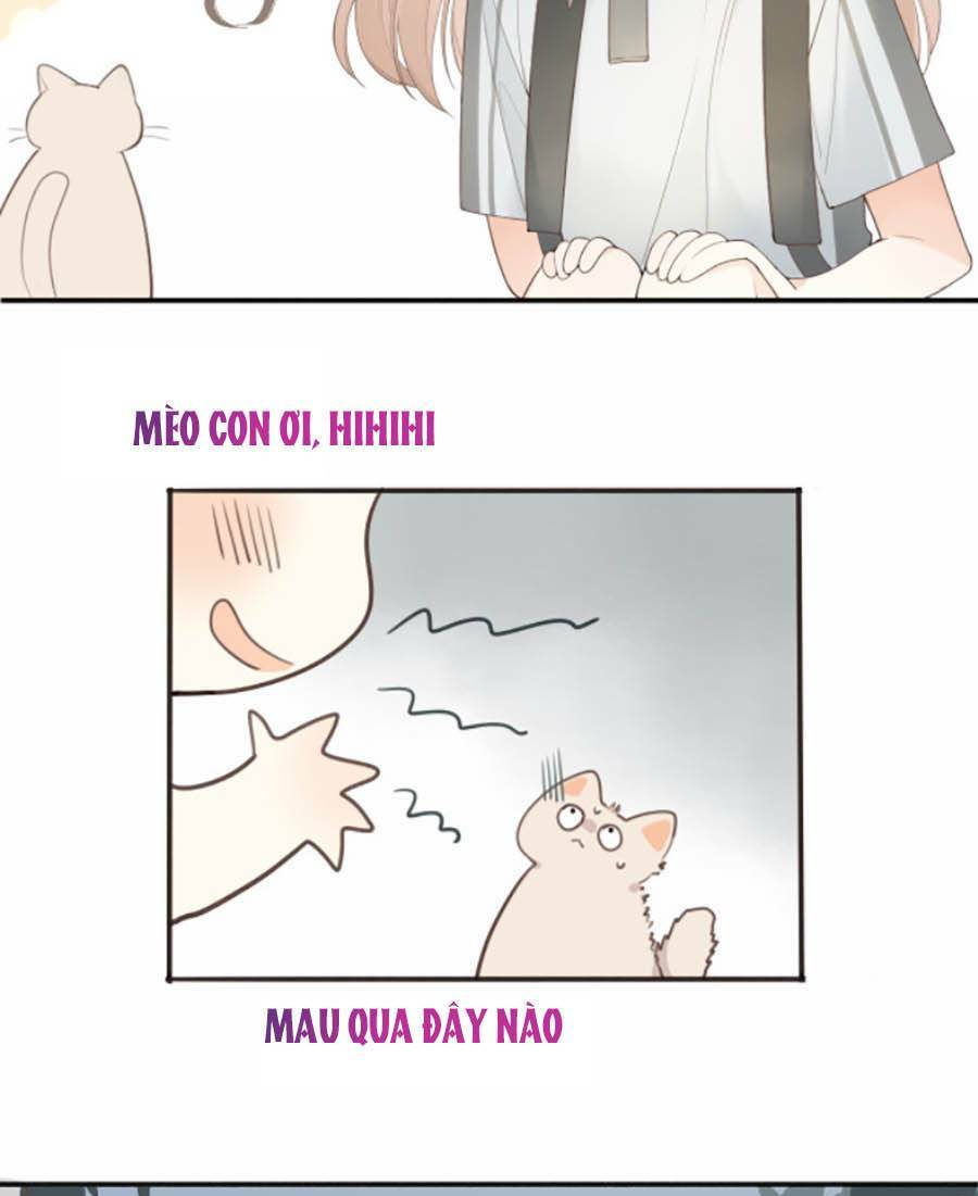 Tình Yêu Duy Nhất Của Tôi: Chapter 16