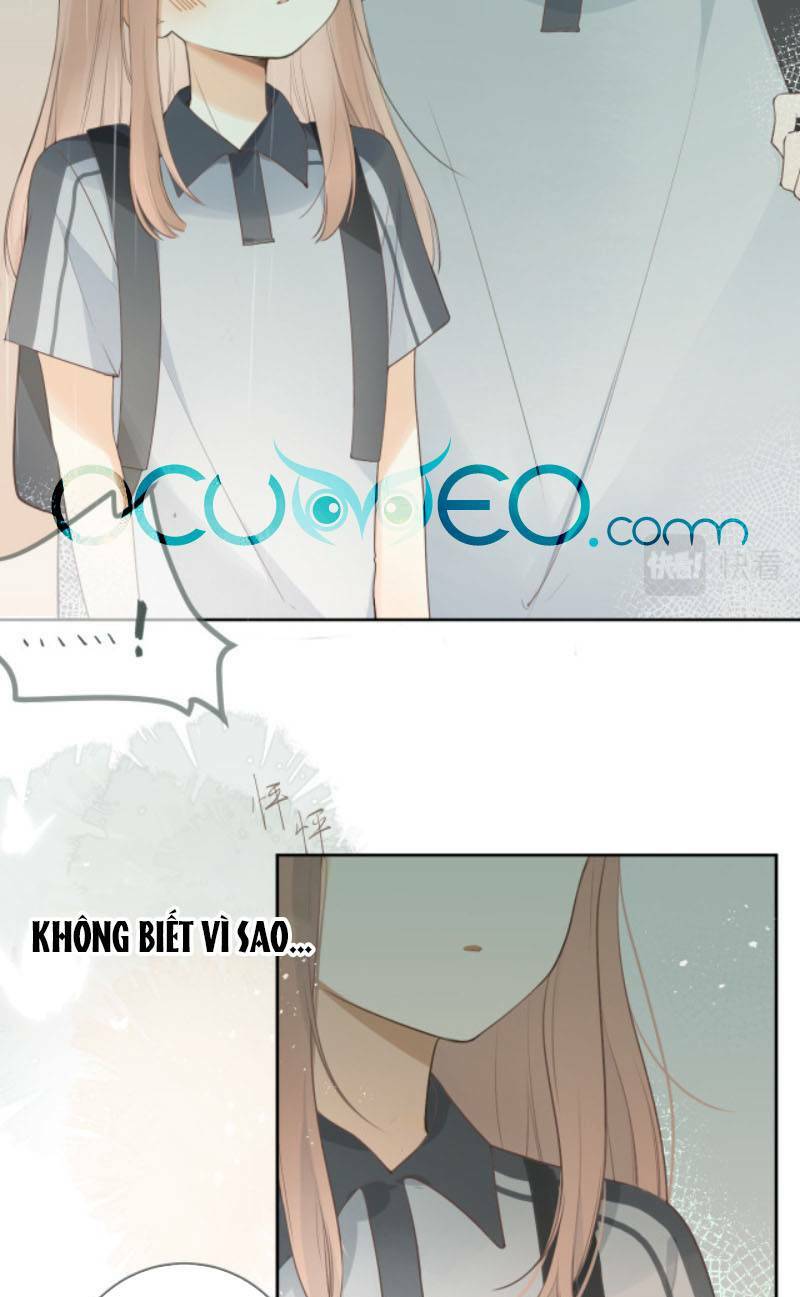 Tình Yêu Duy Nhất Của Tôi: Chapter 20