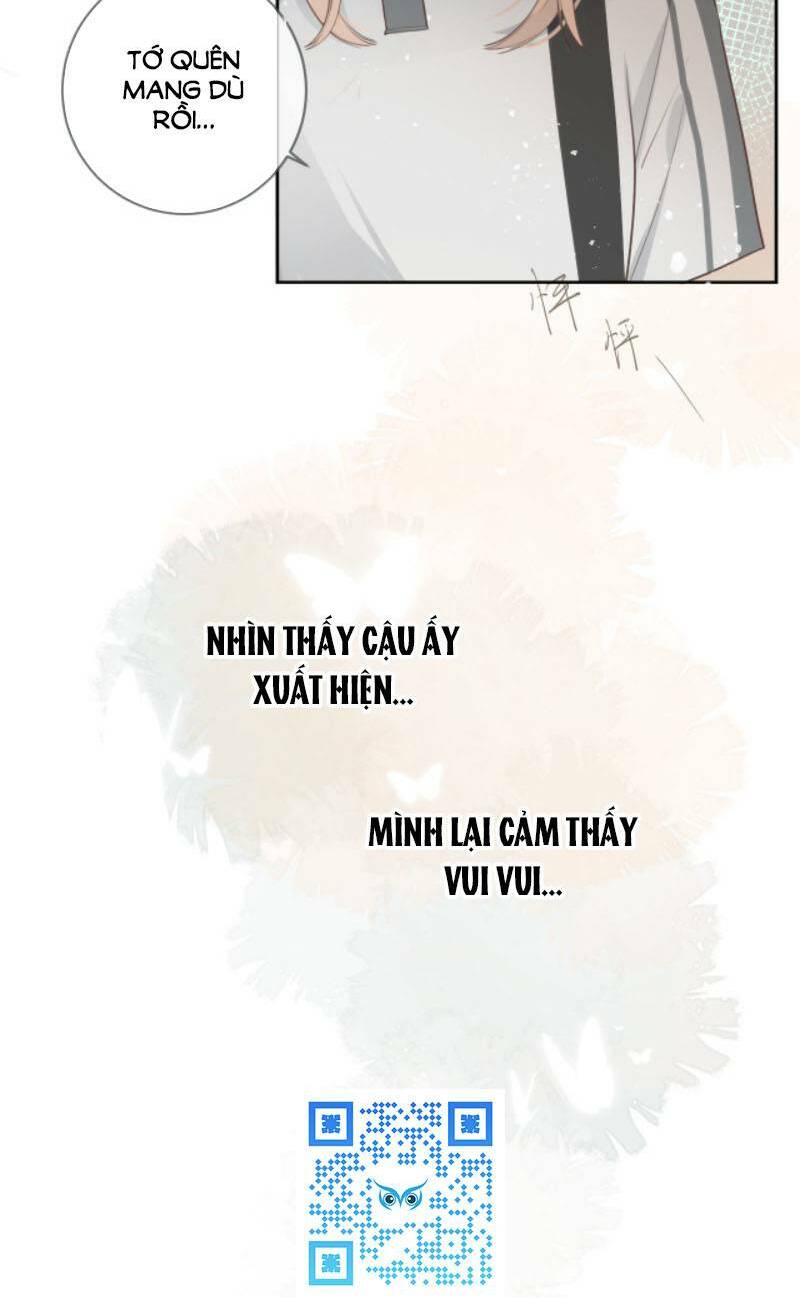 Tình Yêu Duy Nhất Của Tôi: Chapter 20