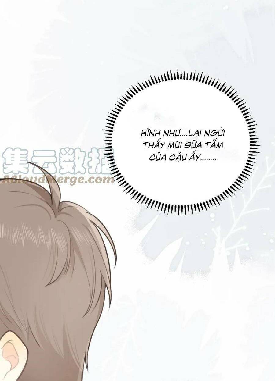 Tình Yêu Duy Nhất Của Tôi: Chapter 24