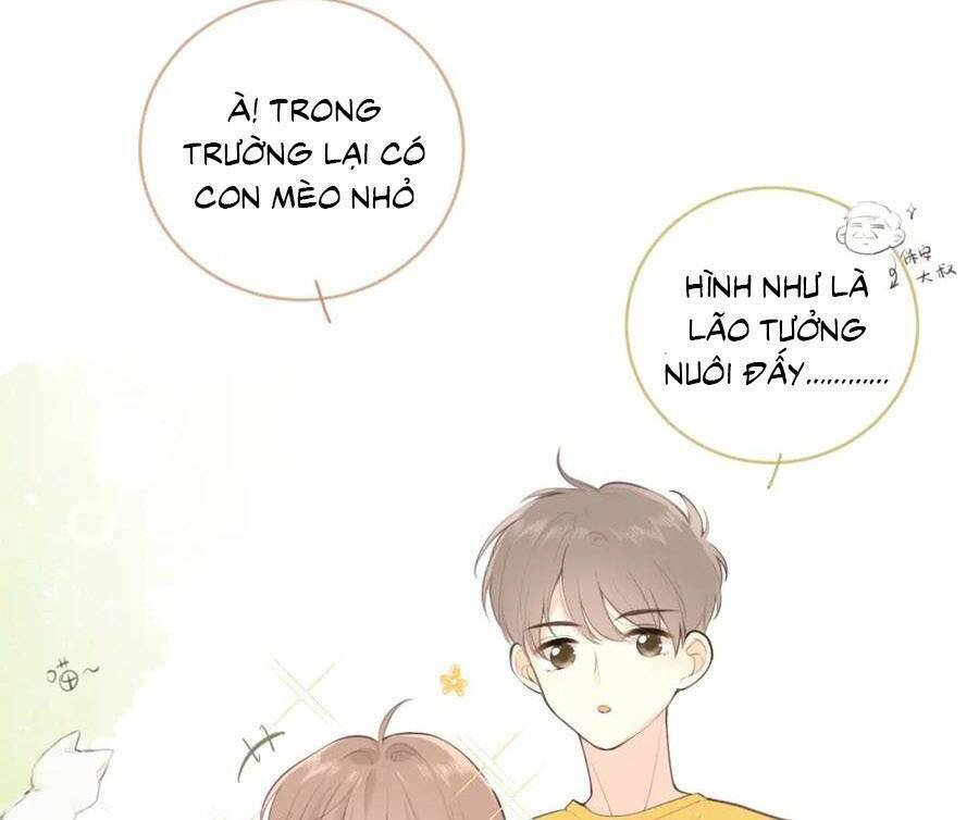 Tình Yêu Duy Nhất Của Tôi: Chapter 25