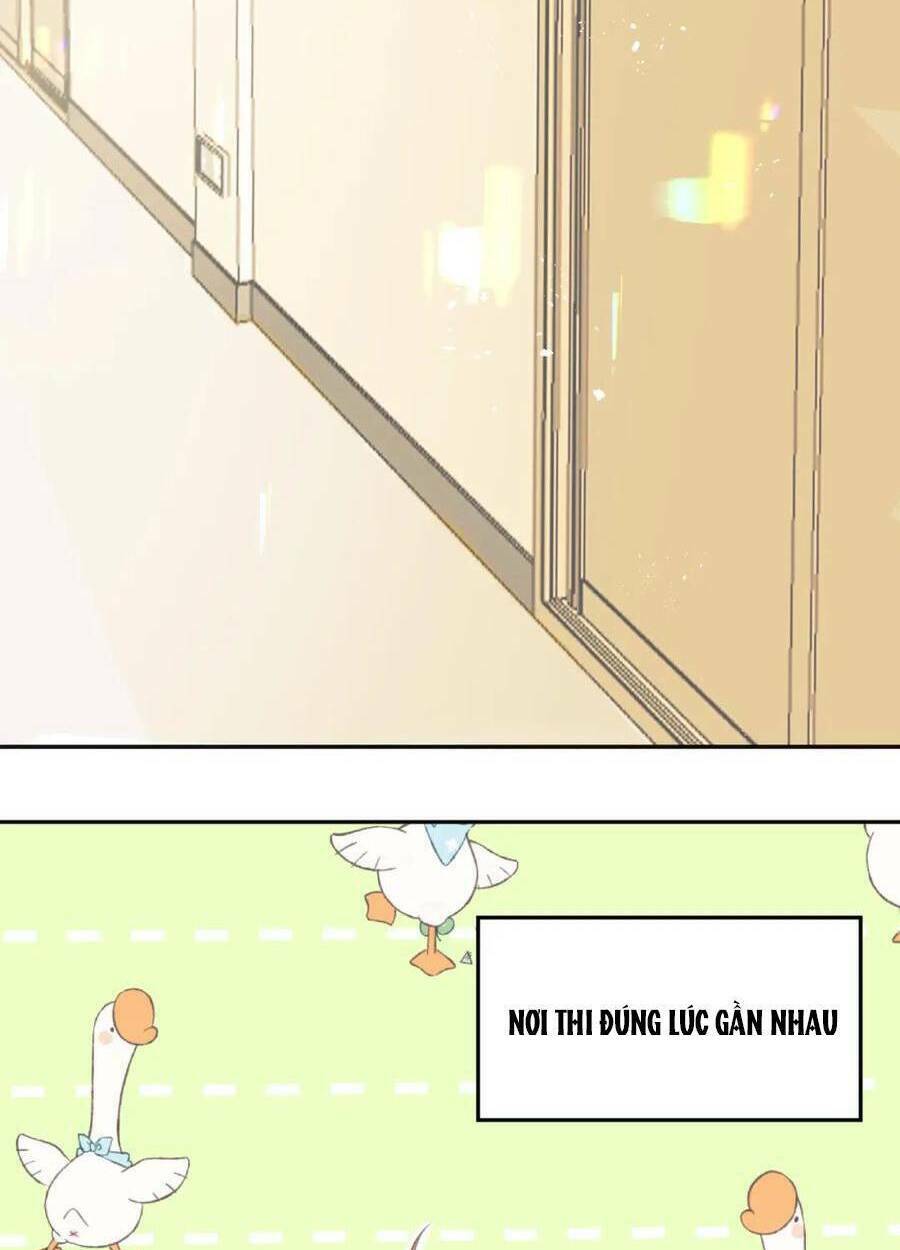 Tình Yêu Duy Nhất Của Tôi: Chapter 26