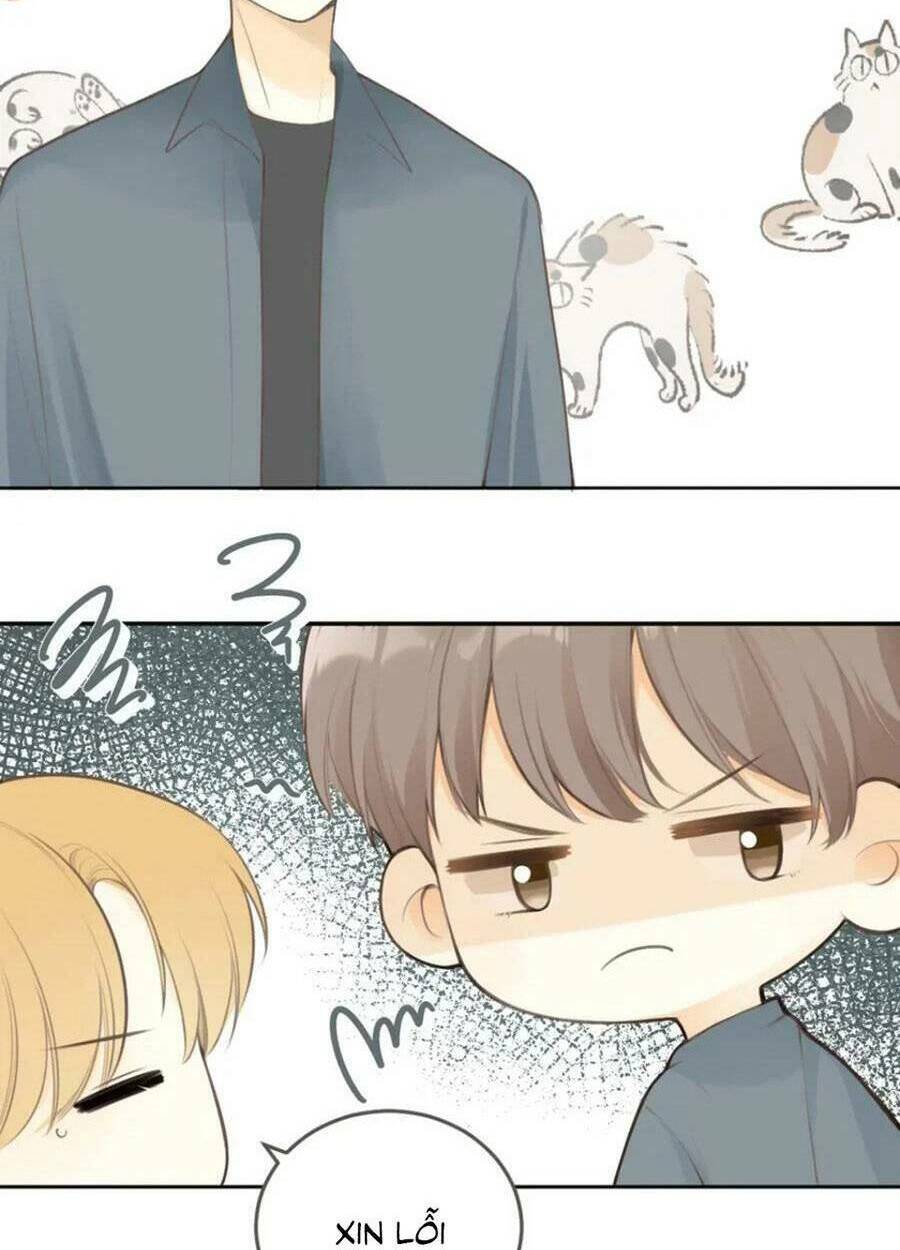 Tình Yêu Duy Nhất Của Tôi: Chapter 28