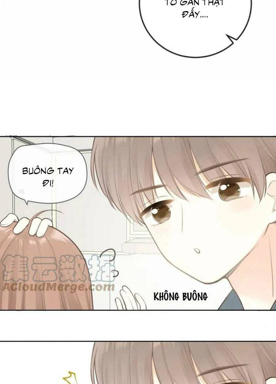 Tình Yêu Duy Nhất Của Tôi: Chapter 29