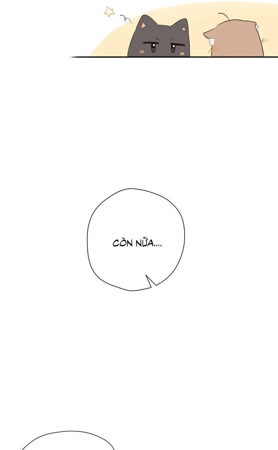 Tình Yêu Duy Nhất Của Tôi: Chapter 36