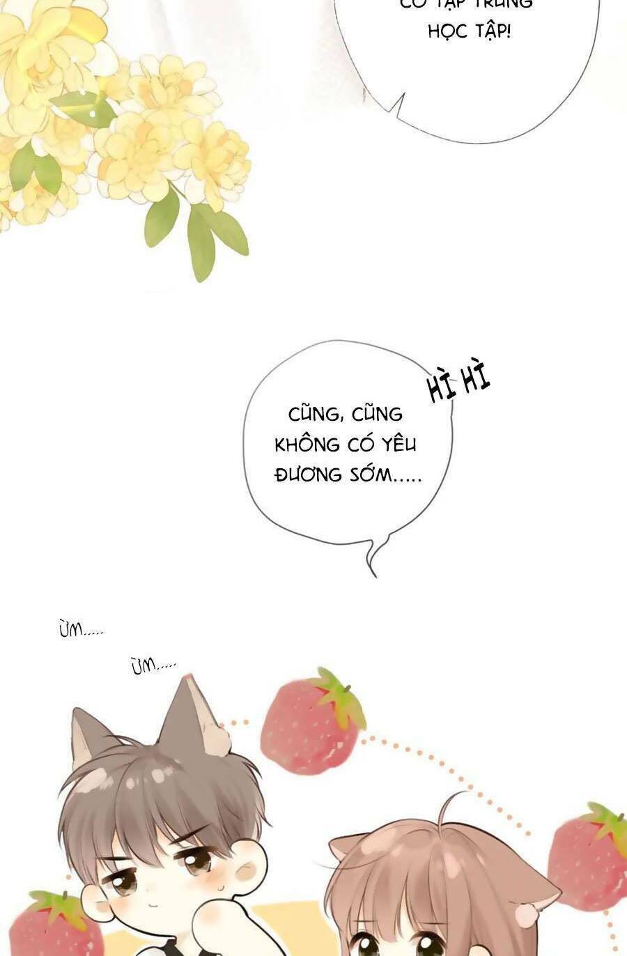 Tình Yêu Duy Nhất Của Tôi: Chapter 39