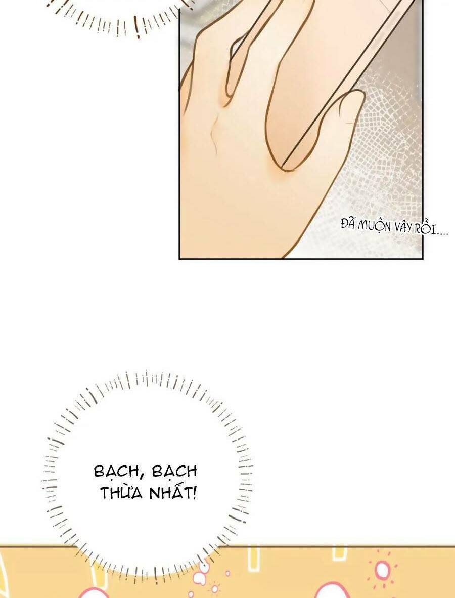 Tình Yêu Duy Nhất Của Tôi: Chapter 40