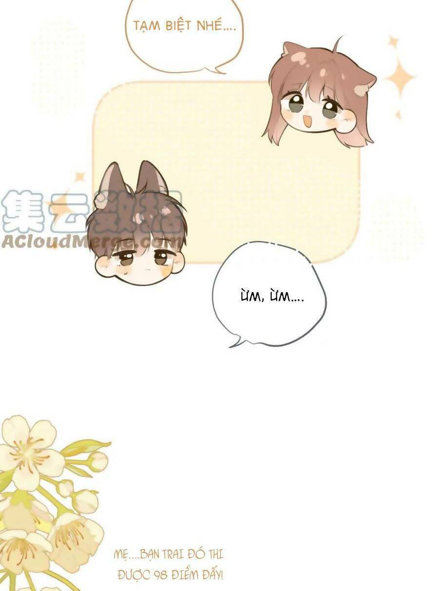Tình Yêu Duy Nhất Của Tôi: Chapter 42.5