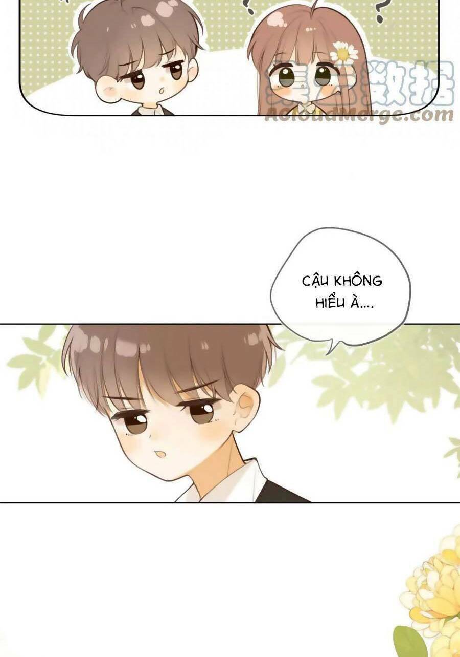 Tình Yêu Duy Nhất Của Tôi: Chapter 42.5