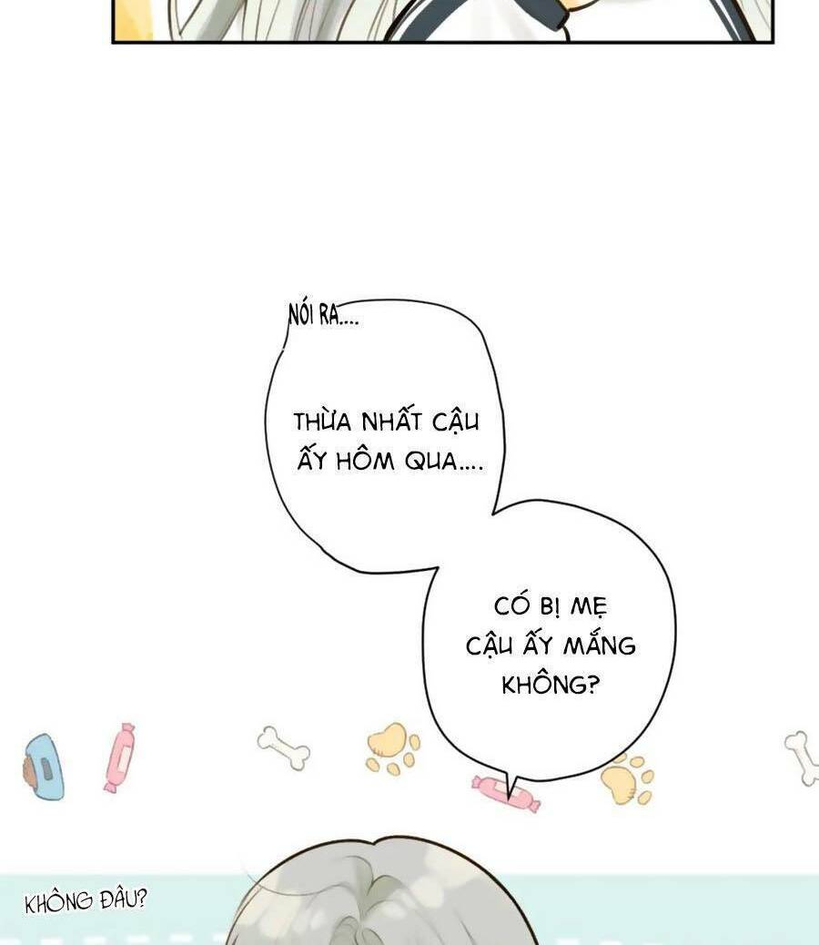Tình Yêu Duy Nhất Của Tôi: Chapter 42