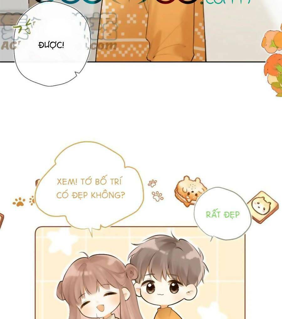 Tình Yêu Duy Nhất Của Tôi: Chapter 43.5