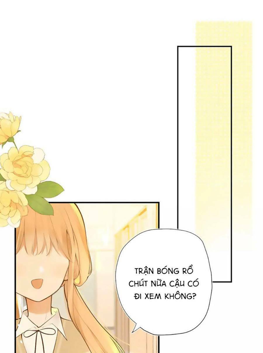 Tình Yêu Duy Nhất Của Tôi: Chapter 44