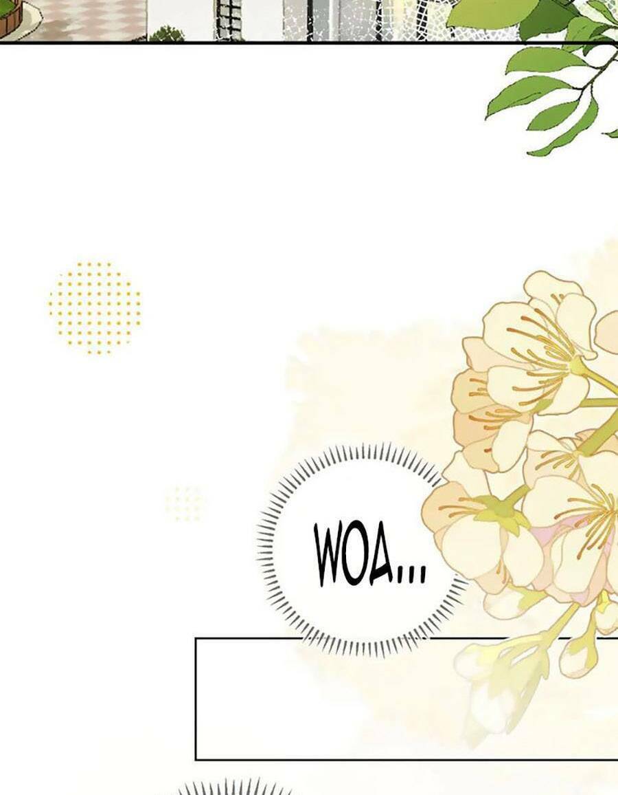 Tình Yêu Duy Nhất Của Tôi: Chapter 44