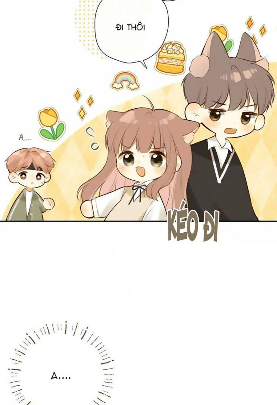 Tình Yêu Duy Nhất Của Tôi: Chapter 44