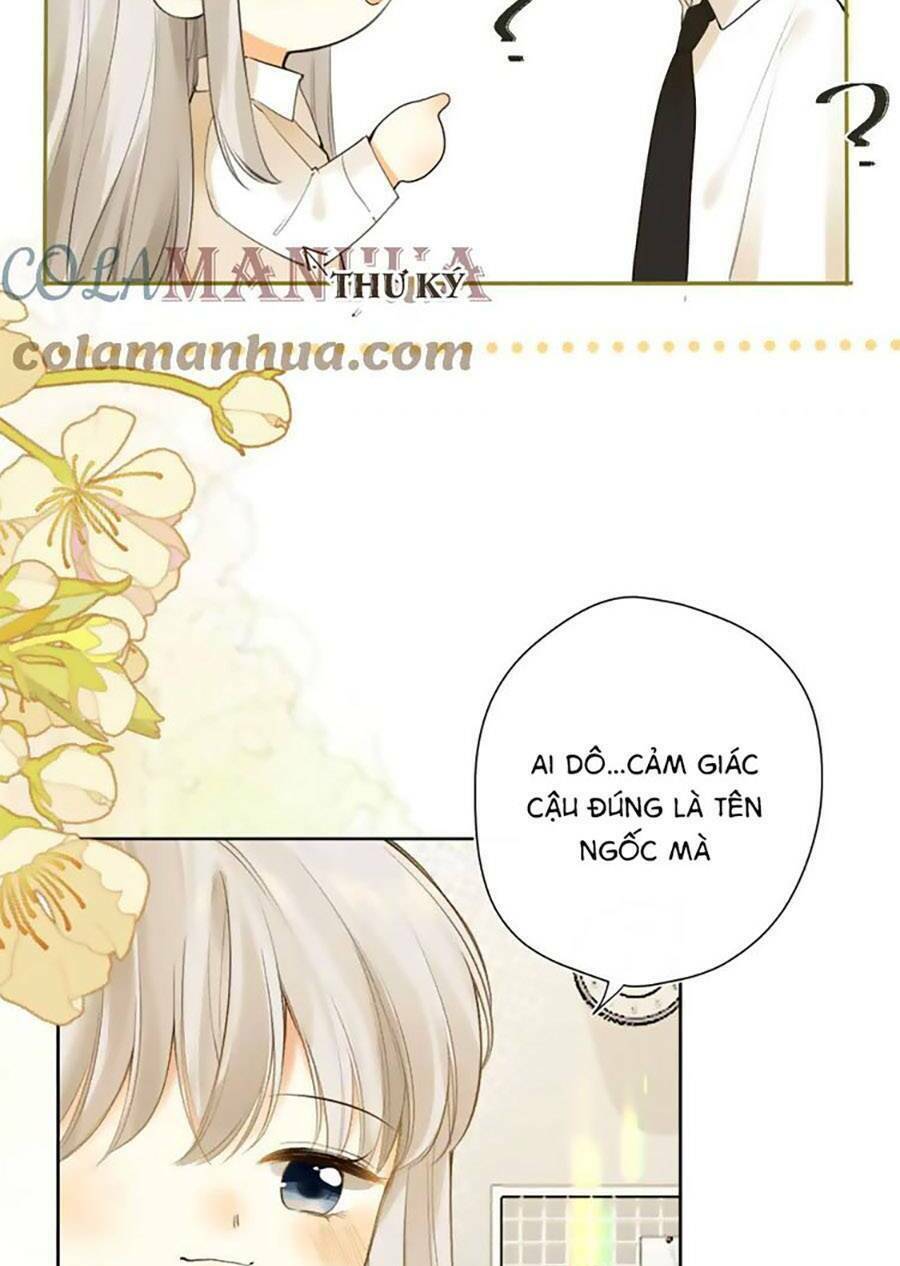 Tình Yêu Duy Nhất Của Tôi: Chapter 45