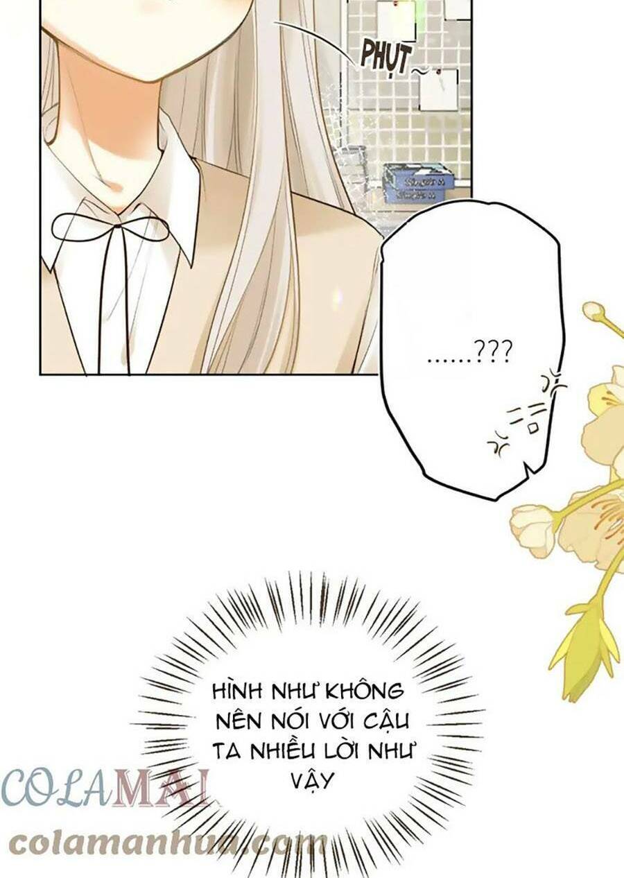 Tình Yêu Duy Nhất Của Tôi: Chapter 45