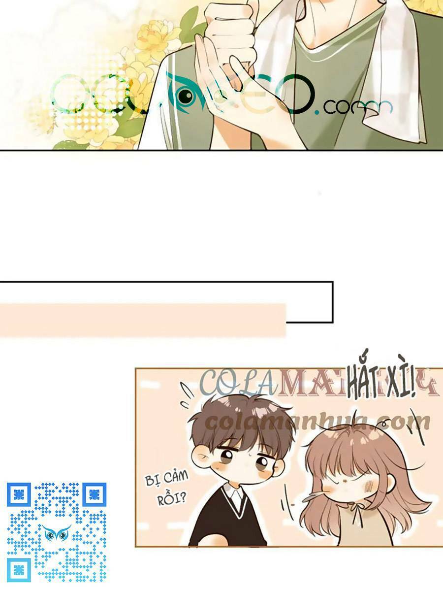 Tình Yêu Duy Nhất Của Tôi: Chapter 45