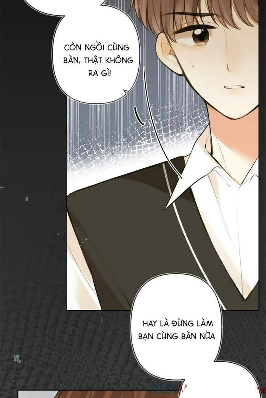 Tình Yêu Duy Nhất Của Tôi: Chapter 48