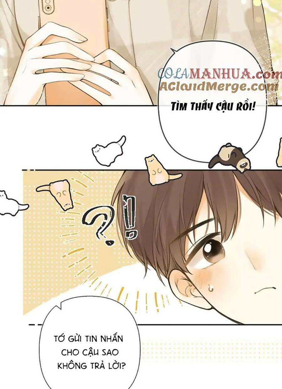 Tình Yêu Duy Nhất Của Tôi: Chapter 48