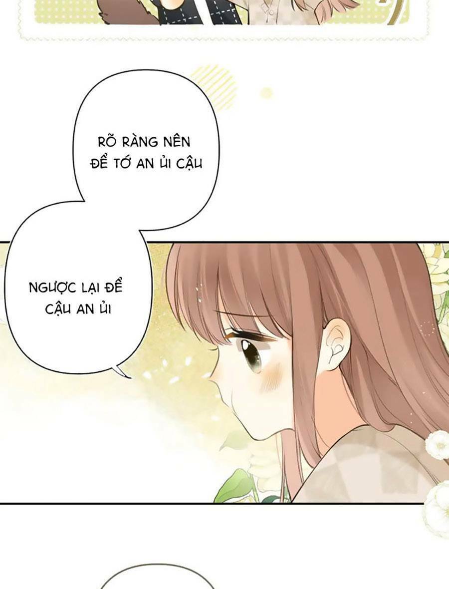Tình Yêu Duy Nhất Của Tôi: Chapter 48