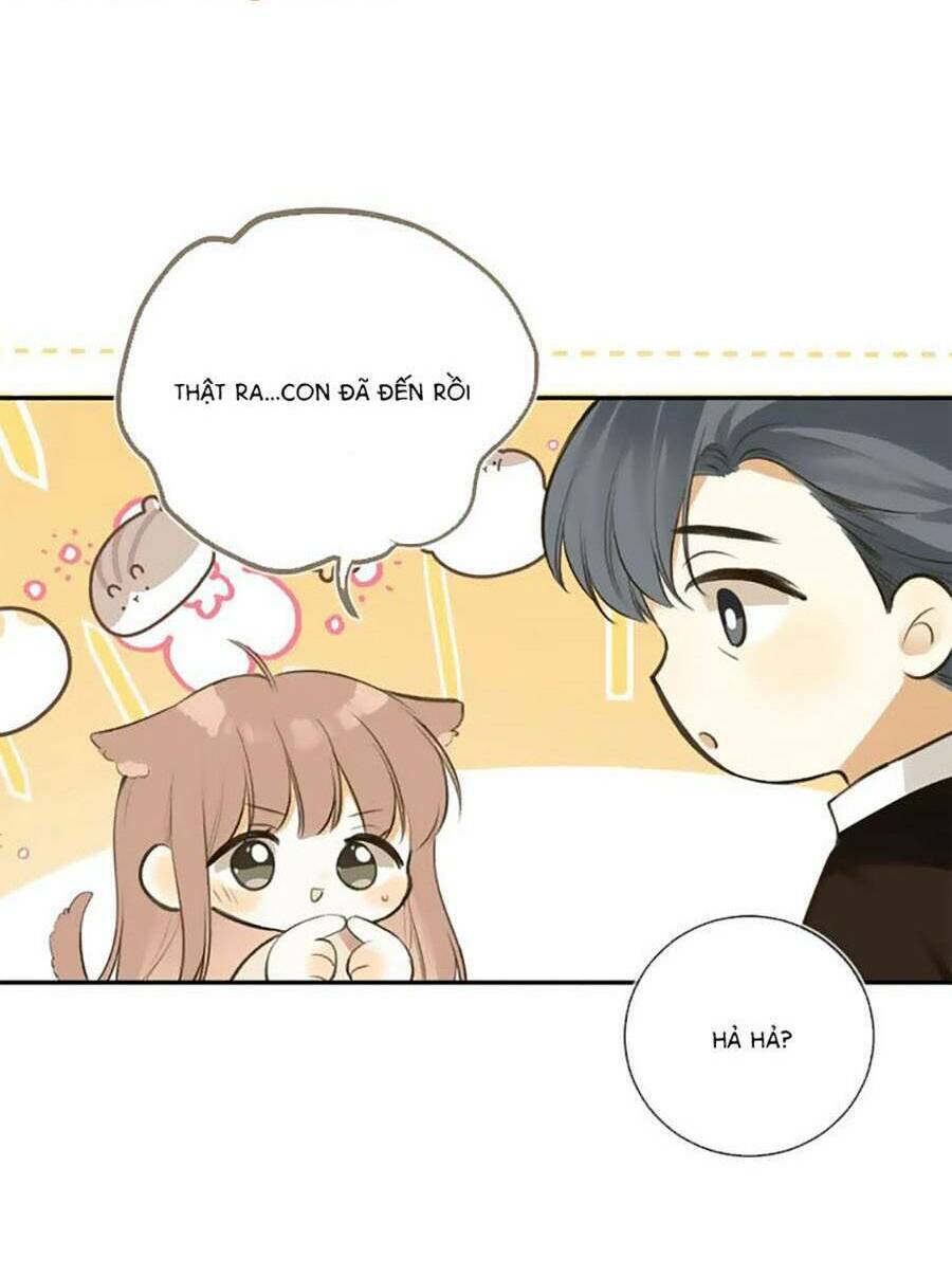 Tình Yêu Duy Nhất Của Tôi: Chapter 49