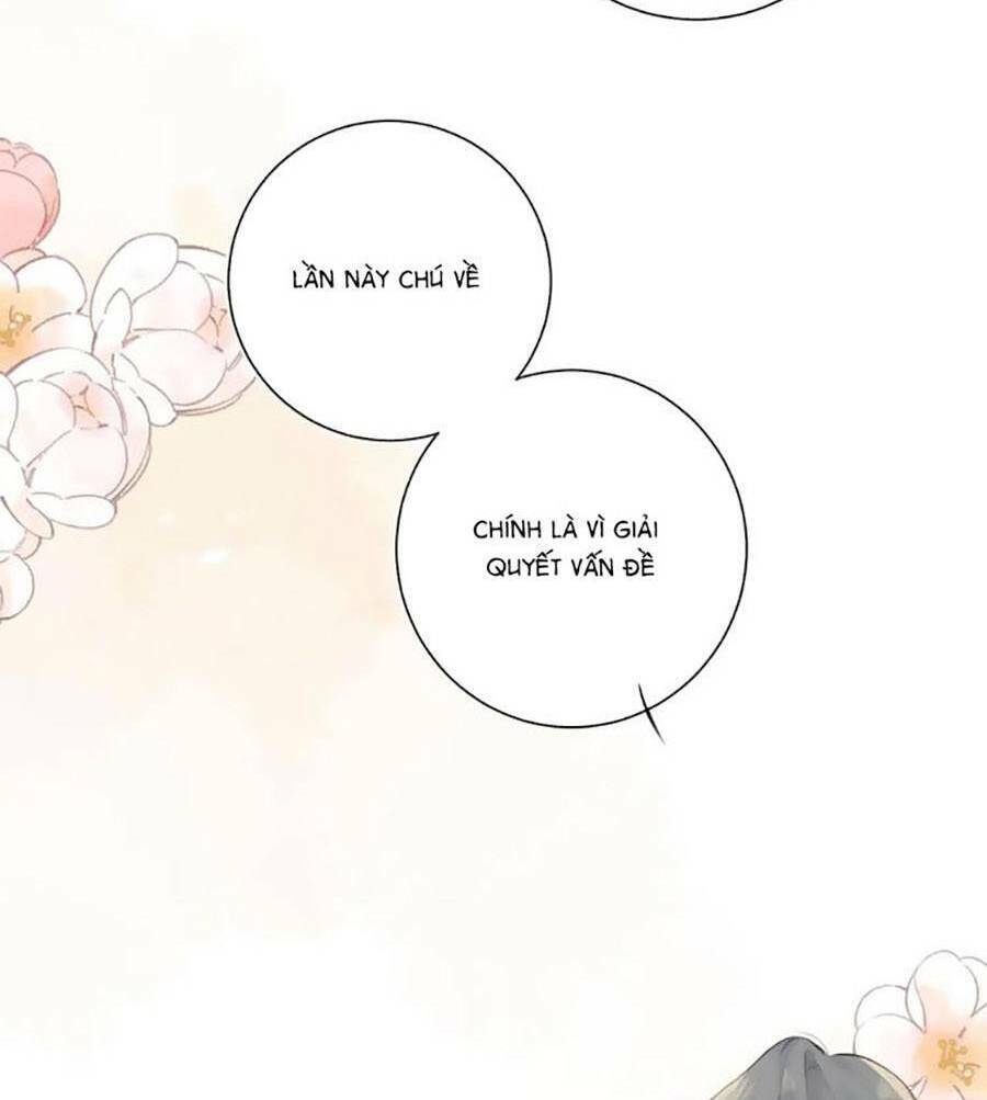 Tình Yêu Duy Nhất Của Tôi: Chapter 49