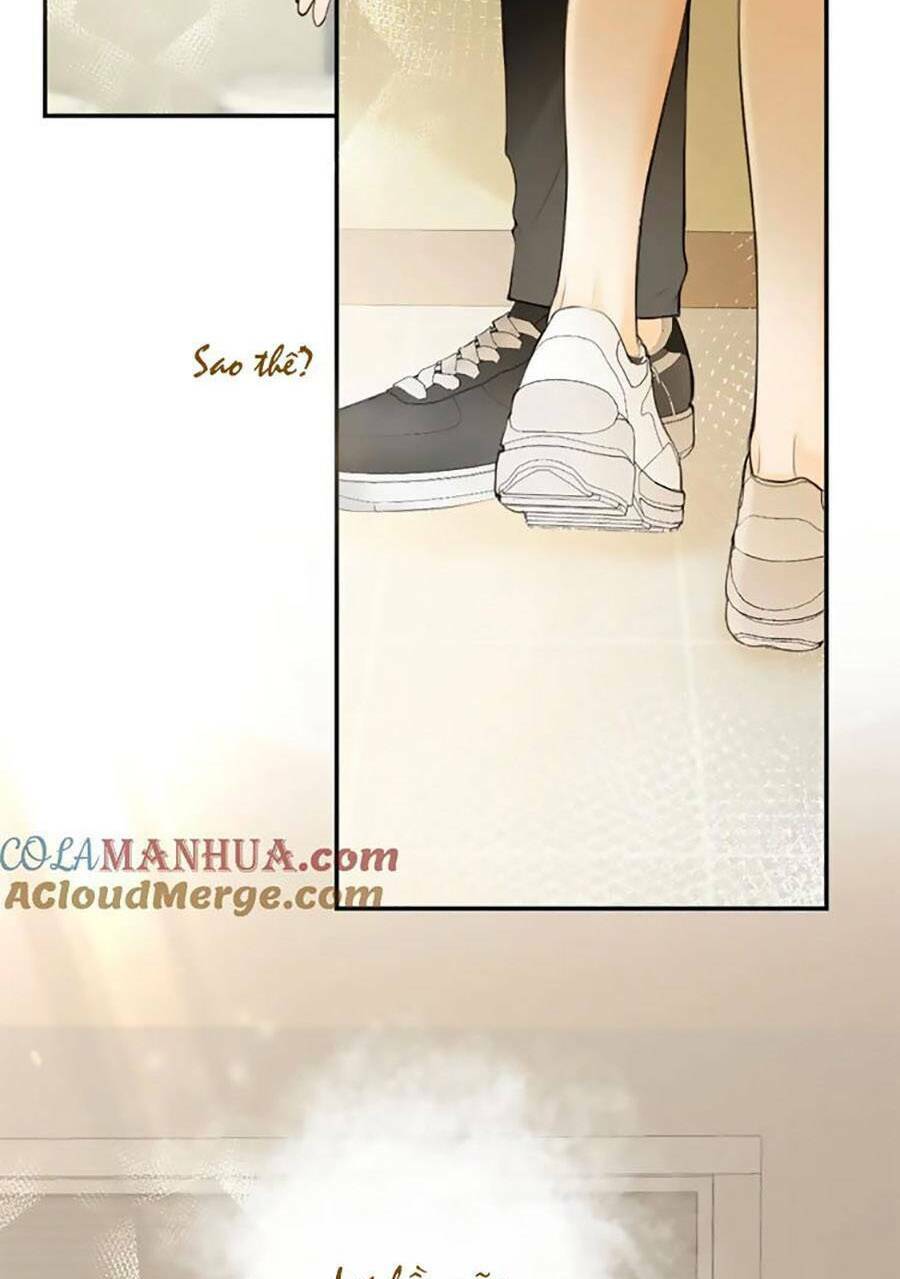 Tình Yêu Duy Nhất Của Tôi: Chapter 51