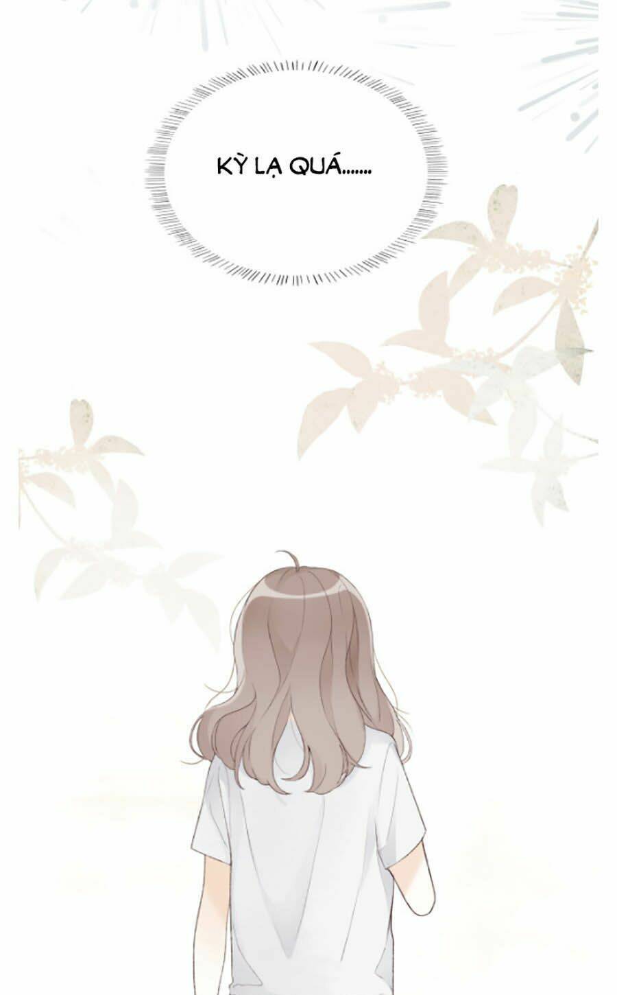 Tình Yêu Duy Nhất Của Tôi: Chapter 6