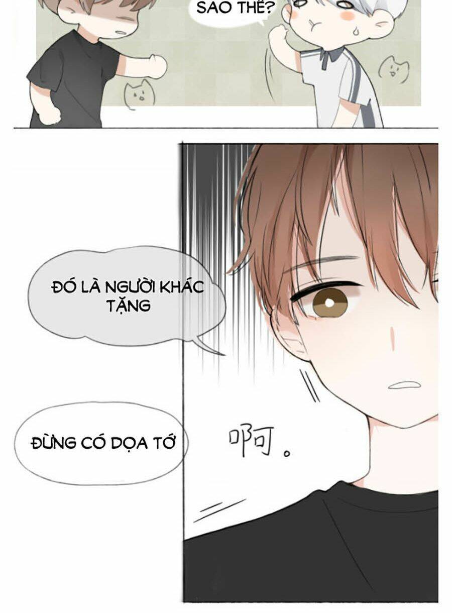 Tình Yêu Duy Nhất Của Tôi: Chapter 7