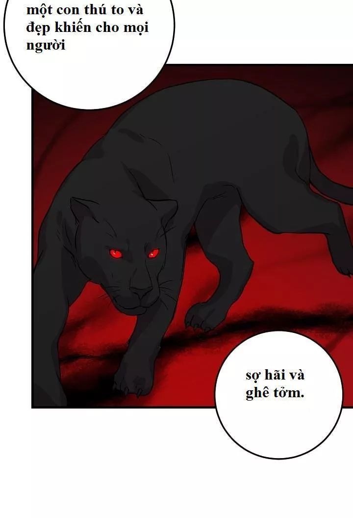 Tôi Là Tiểu Thư Của Gia Đình Này: Chapter 19