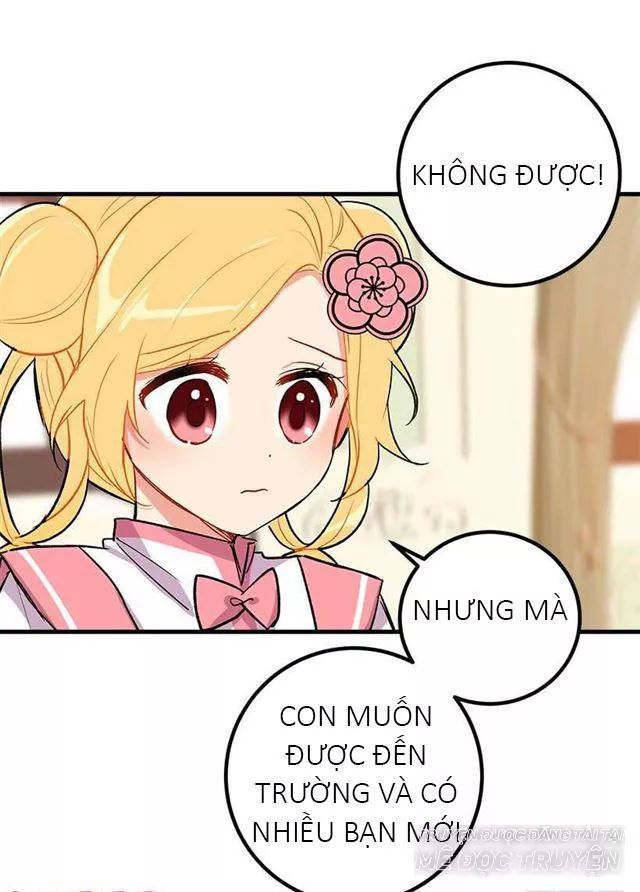 Tôi Là Tiểu Thư Của Gia Đình Này: Chapter 26.1