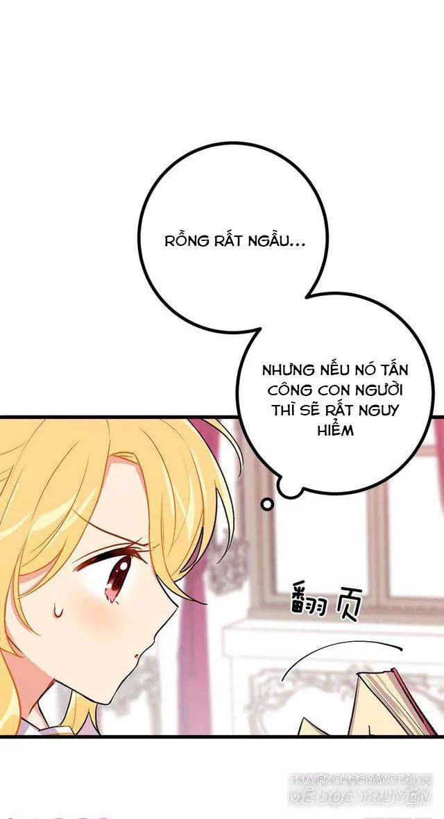 Tôi Là Tiểu Thư Của Gia Đình Này: Chapter 33