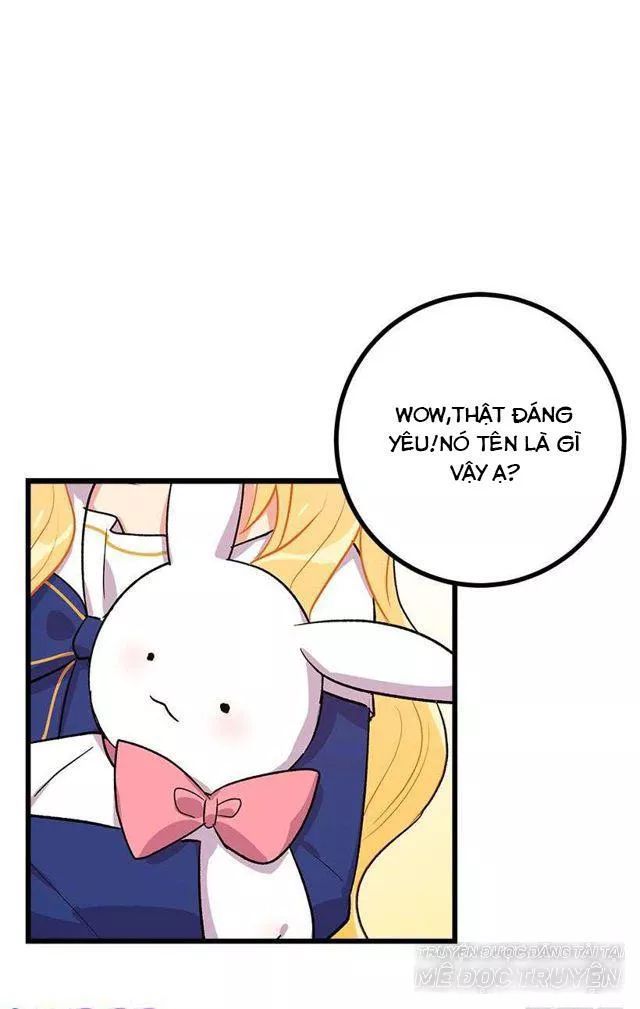 Tôi Là Tiểu Thư Của Gia Đình Này: Chapter 33